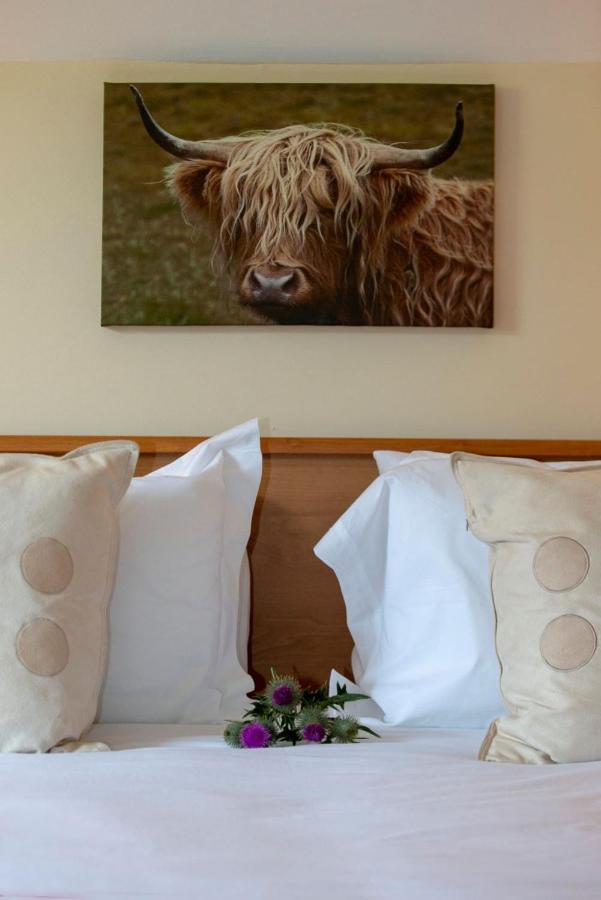 Springburn Farmhouse Спийн Бридж Екстериор снимка